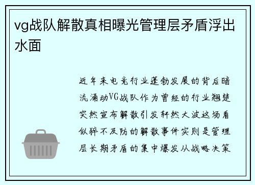 vg战队解散真相曝光管理层矛盾浮出水面
